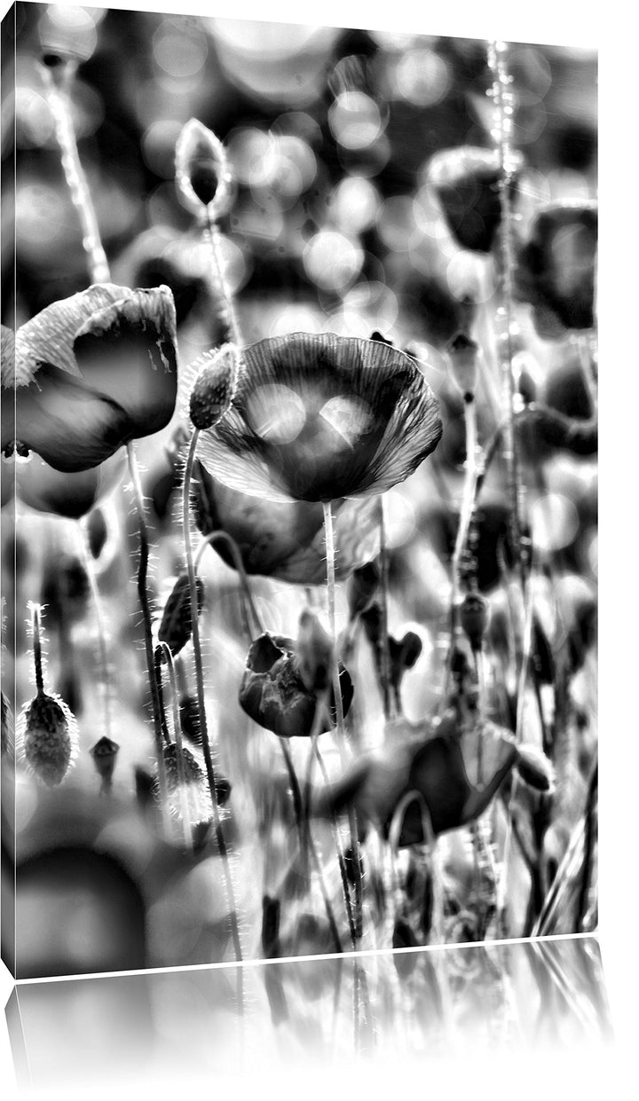 Monocrome, Mohnwiese, Format: 100x70 auf Leinwand, XXL riesige Bilder fertig gerahmt mit Keilrahmen,
