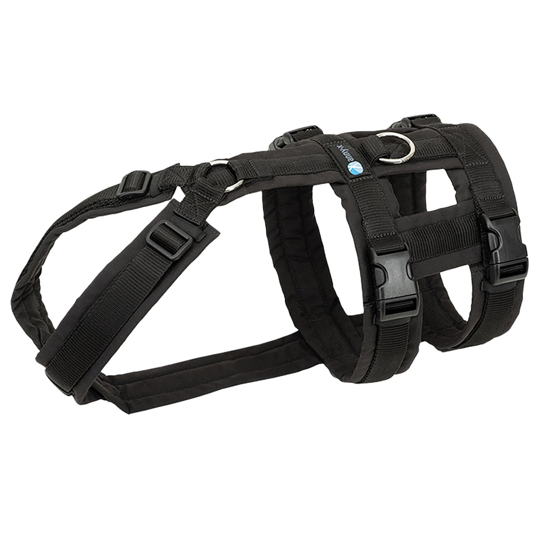 Annyx Brustgeschirr Safety Fun - Schwarz - XS Schwarz-Schwarz XS, Schwarz-Schwarz XS