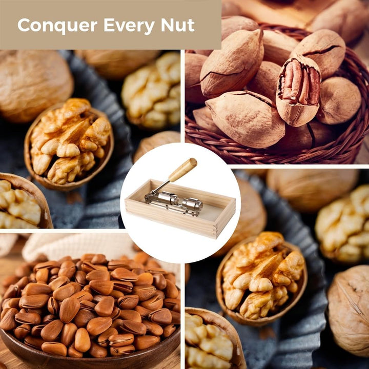 Heavy Duty Nut Cracker, Multipurpose Nut Cracker Tool for Home Use, Walnut Clipper with Splash Guard