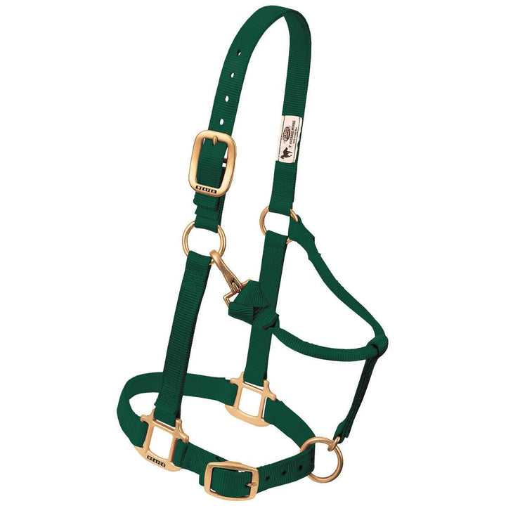 Weaver Leather Original verstellbares Nylonhalfter für Pferde Average Horse Jäger-Grün, Average Hors