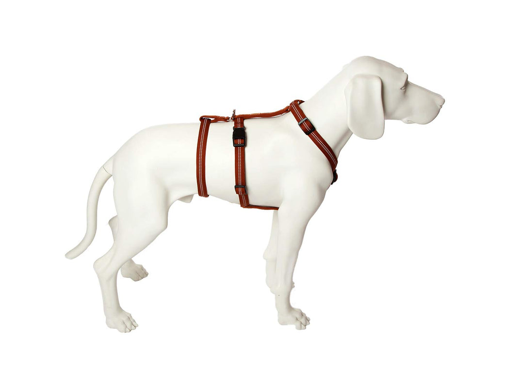 Das Original - NoExit Hundegeschirr ® - Zweiter Bauchgurt abnehmbar, Sicherheitsgeschirr für Pflegeh