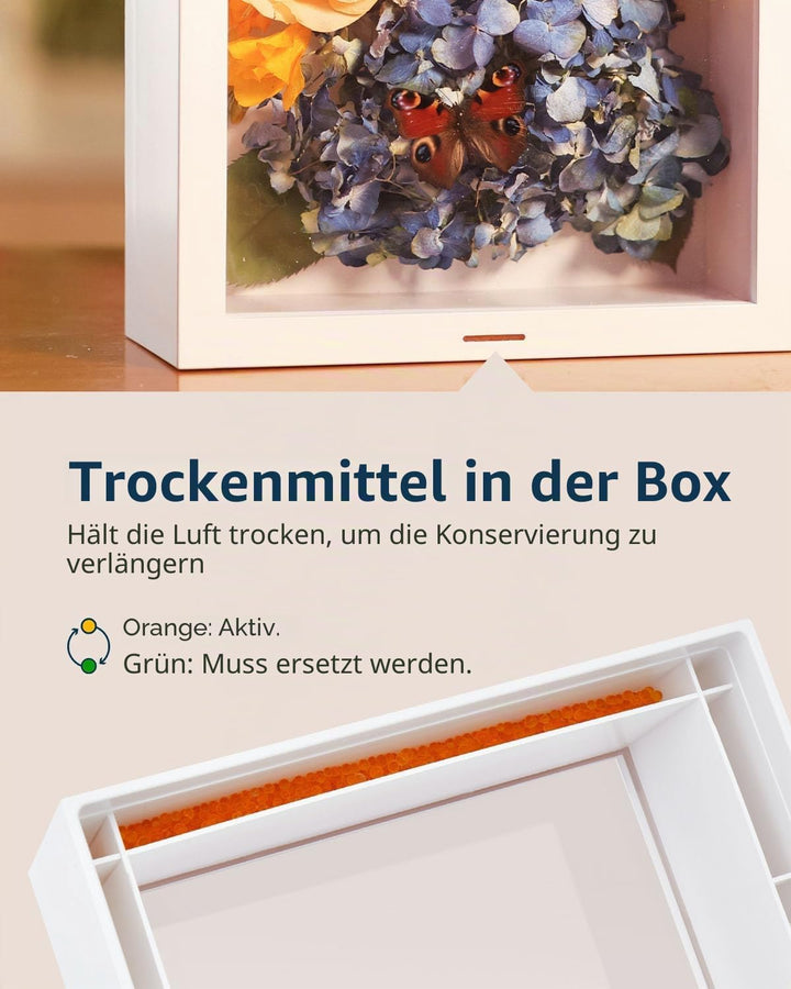 Wisedry 3D Schattenbox 25,4 x 20,3 cm Bilderrahmen Deep Box Display Fotorahmen für getrocknete Blume