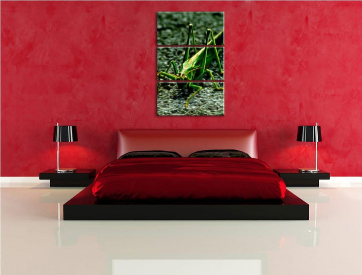 freche kleine Heuschrecke NewArt 3-Teiler Leinwandbild 120x80 Bild auf Leinwand, XXL riesige Bilder
