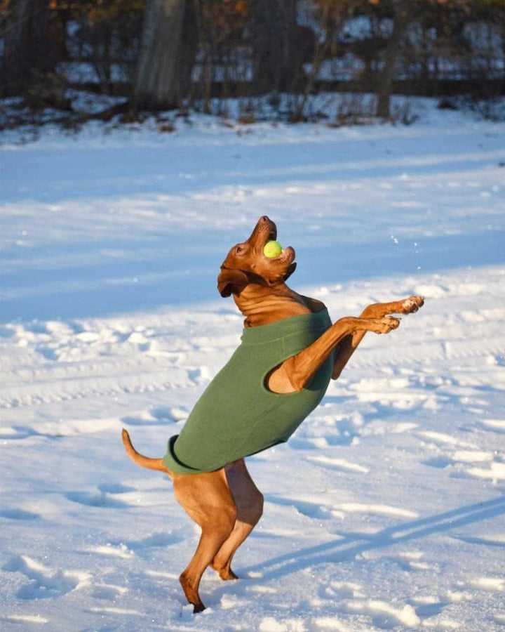 Gooby - Stretch Fleece Vest, Pullover Fleece Vest Jacket Sweater for Dogs, Pumpkin, 3X-Large kürbis