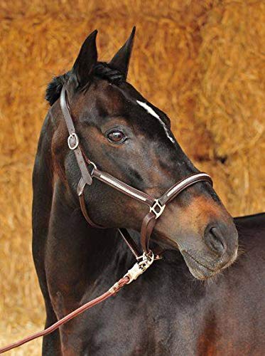 HKM 1590 Halfter Diamond, Pferdehalfter mit Synth. Diamanten, Leder, Pony VB WB Schwarz pony, Schwar