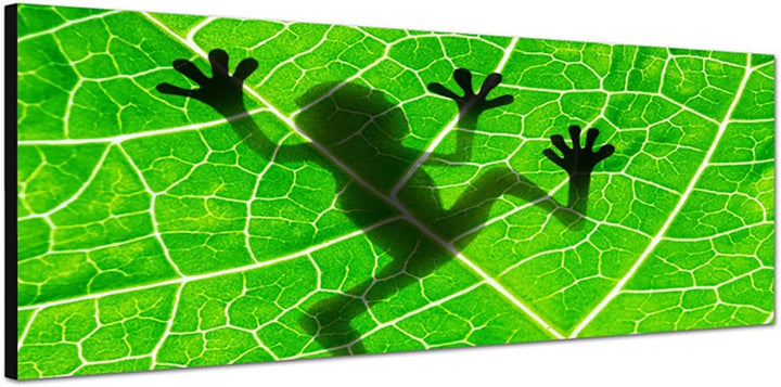 Paul Sinus Art Panoramabild auf Leinwand und Keilrahmen 150x50cm Blatt Frosch Silhouette Schatten