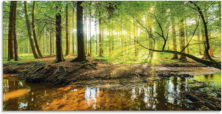 Glasbilder Wandbild Glas Bild einteilig 60x30 cm Querformat Wald Natur Landschaft Bäume Bach Sonne F