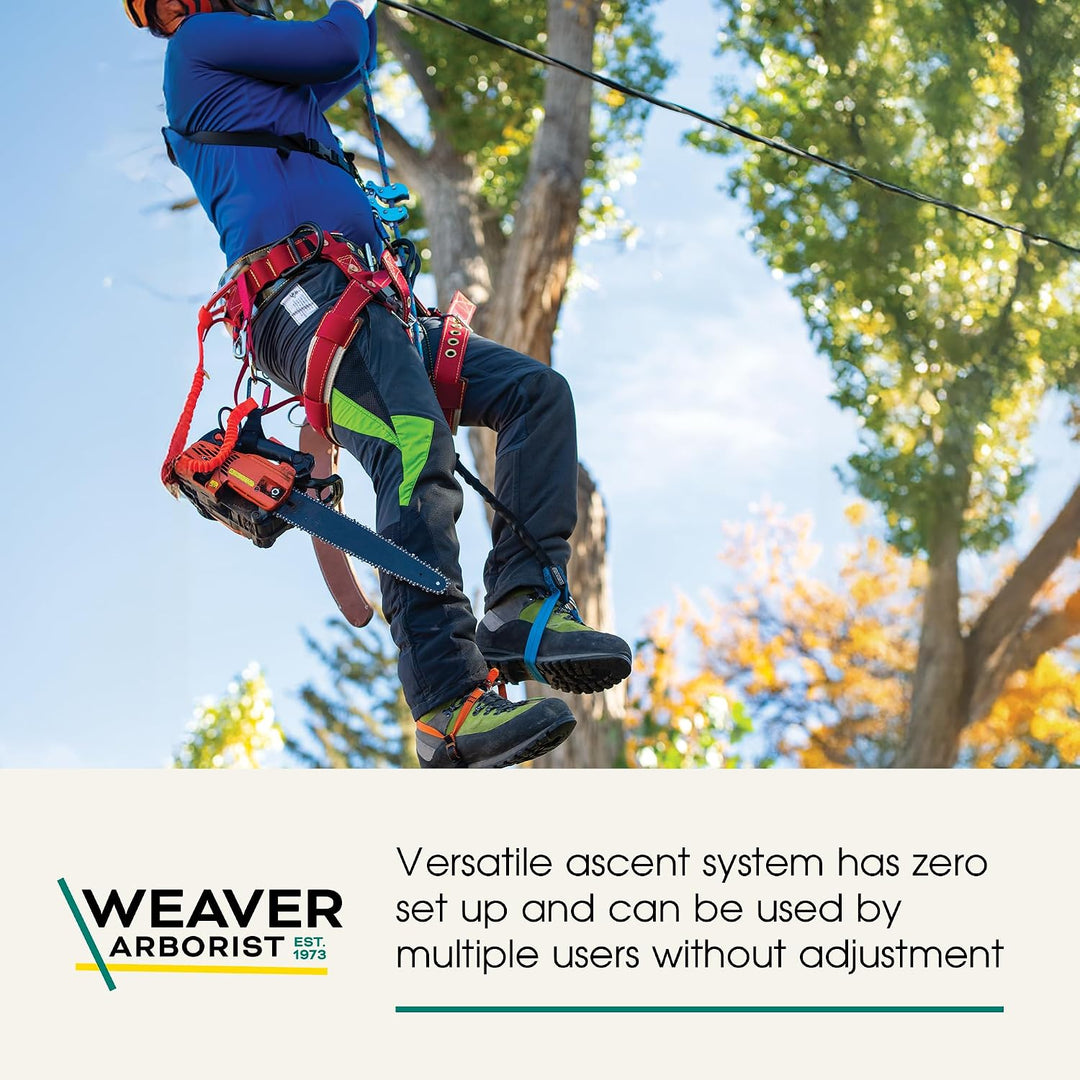 Weaver Arborist Nylon HAAS Velox Ascent System, Regular