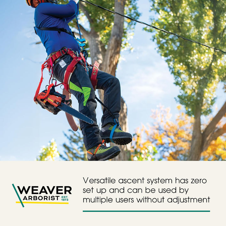 Weaver Arborist Nylon HAAS Velox Ascent System, Regular