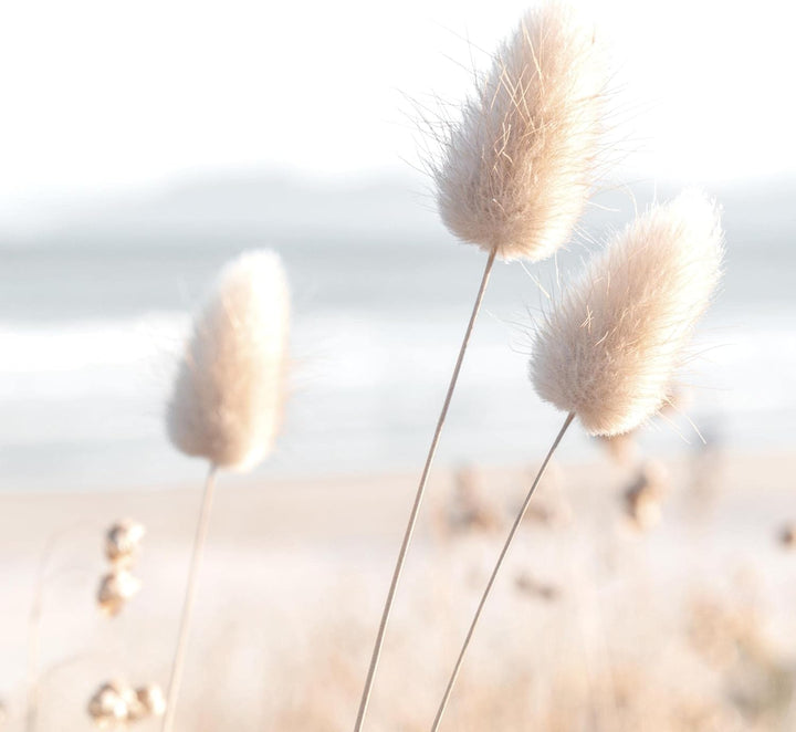Novart Bilder Set - AUFHÄNGFERTIG - KEIN EXTRA RAHMEN BENÖTIGT - Strand Meer Relax Modern Beige - Wo