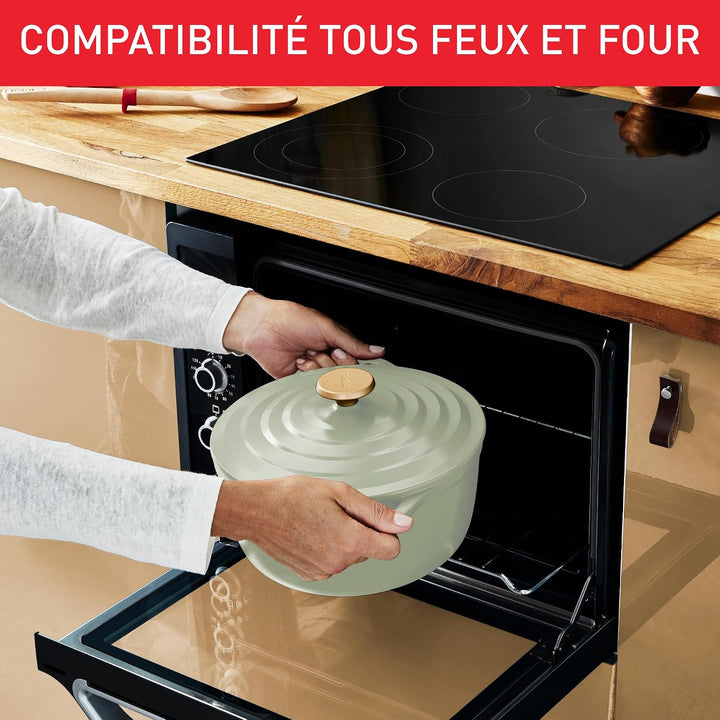 Tefal Schmortopf aus Aluminiumguss, 24 cm, 4-5 Personen, Induktion, leicht, aus Aluminiumguss, einfa