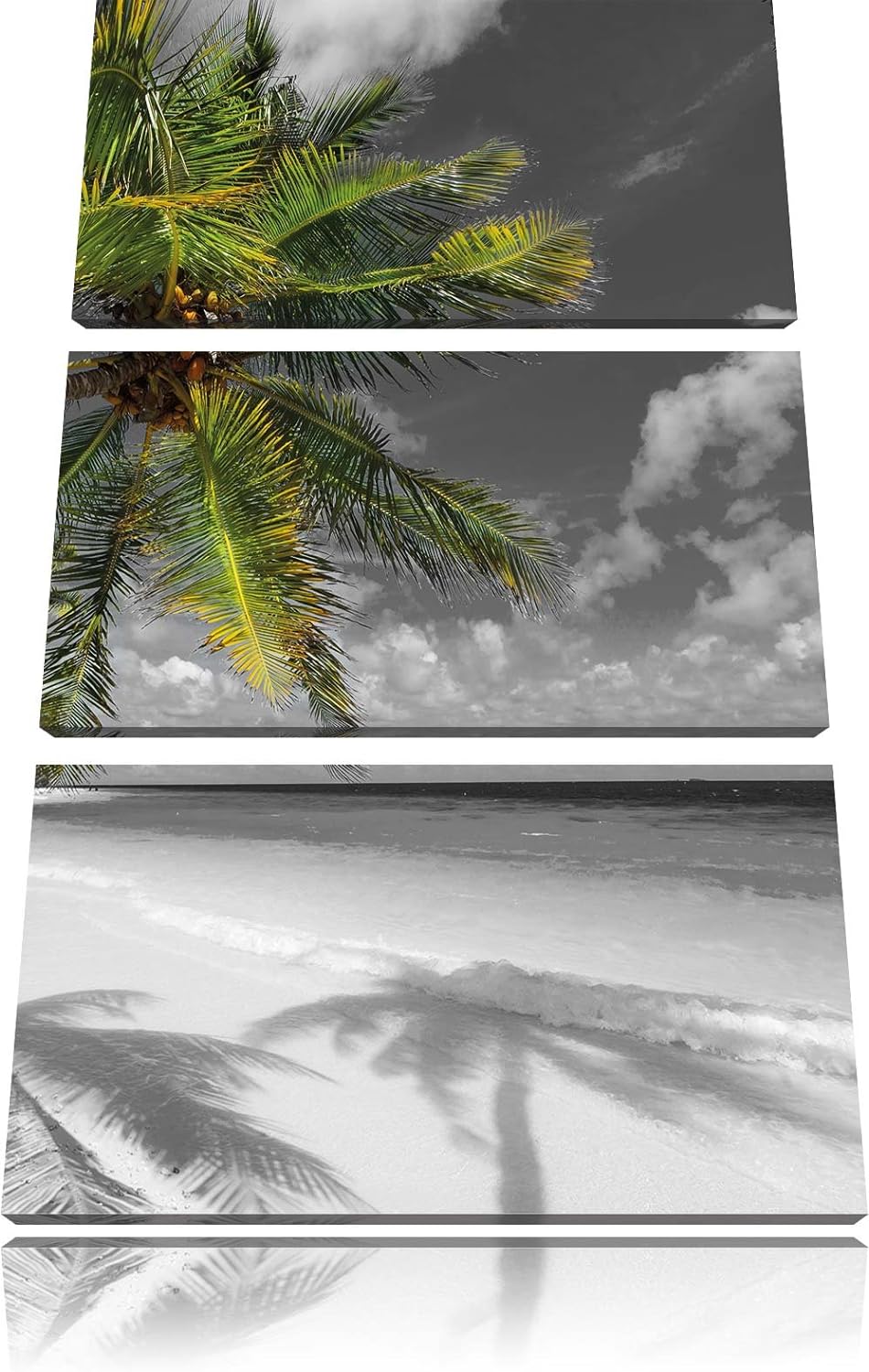 Pixxprint riesige Palem über Strand schwarz/weiss 3-Teiler Leinwandbild 120x80 Bild auf Leinwand