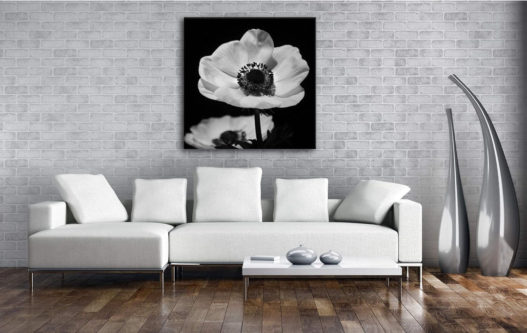 deyoli Dark Anemone Format: 70x70 Effekt: Schwarz&Weiss als Leinwandbild, Motiv auf Echtholzrahmen,