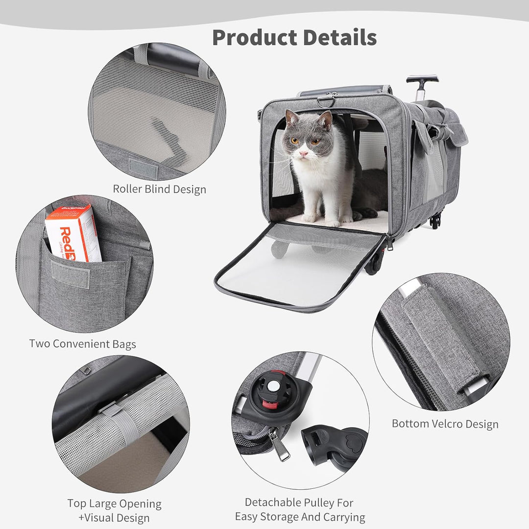 PETCUTE Transporttasche für Katze mit Rollen,Atmungsaktiv Katzen Transporttasche für 2 Katzen,Faltba