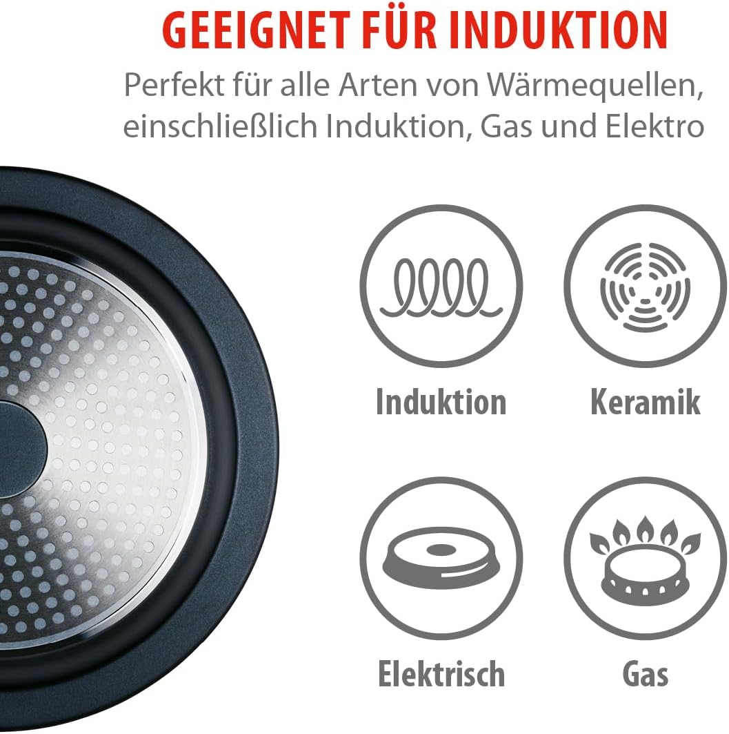 alpina Tajine Topf 2,5L - Geeignet für Induktion - Kochtopf mit Keramikdeckel Ø30cm - Robuster Dampf