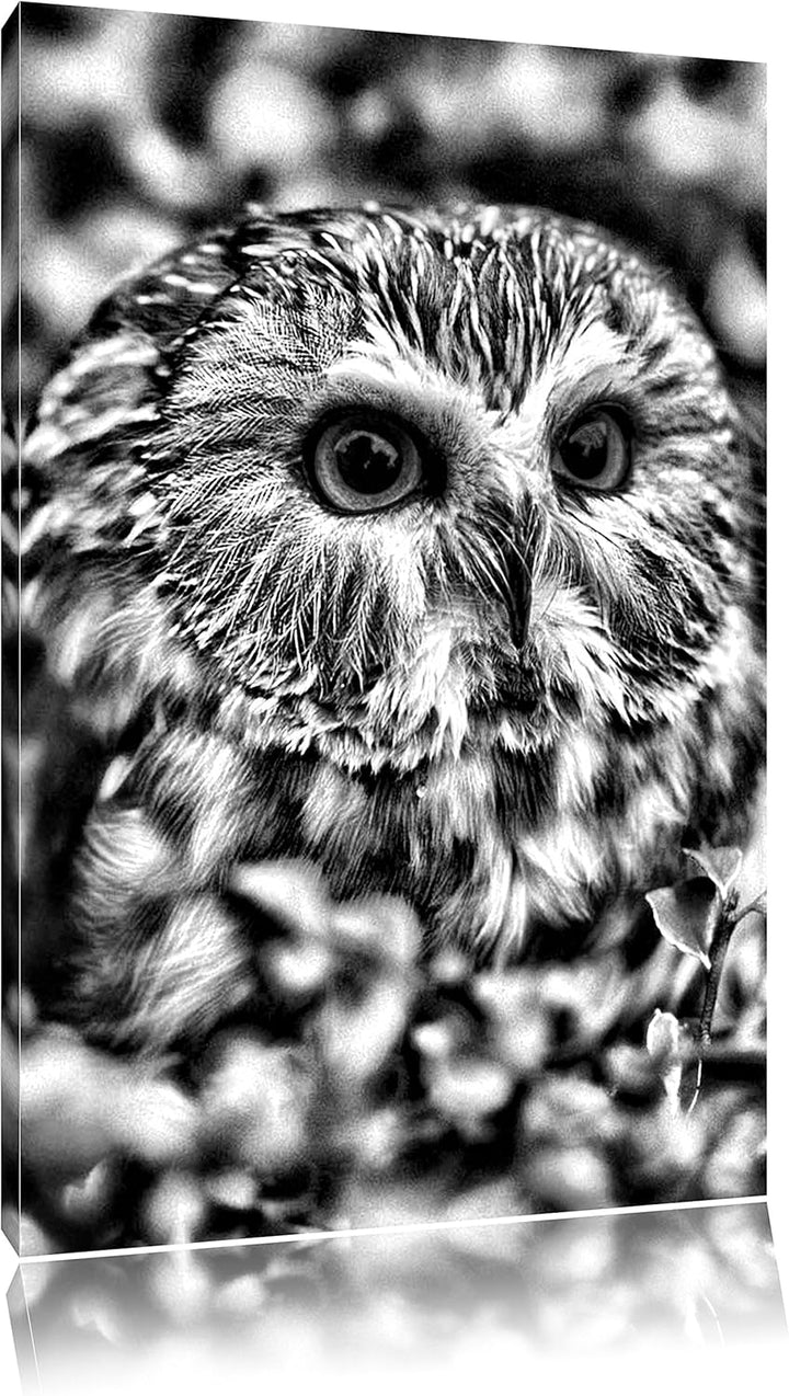 Pixxprint Eule im Vogelbeerenstrauch / 100x70cm Leinwandbild bespannt auf Holzrahmen/Wandbild Kunstd