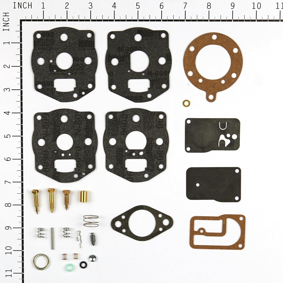 Briggs and Stratton 694056 Instandsetzungs-Set, für Vergaser in Kraftstoff-Schneckenpumpe