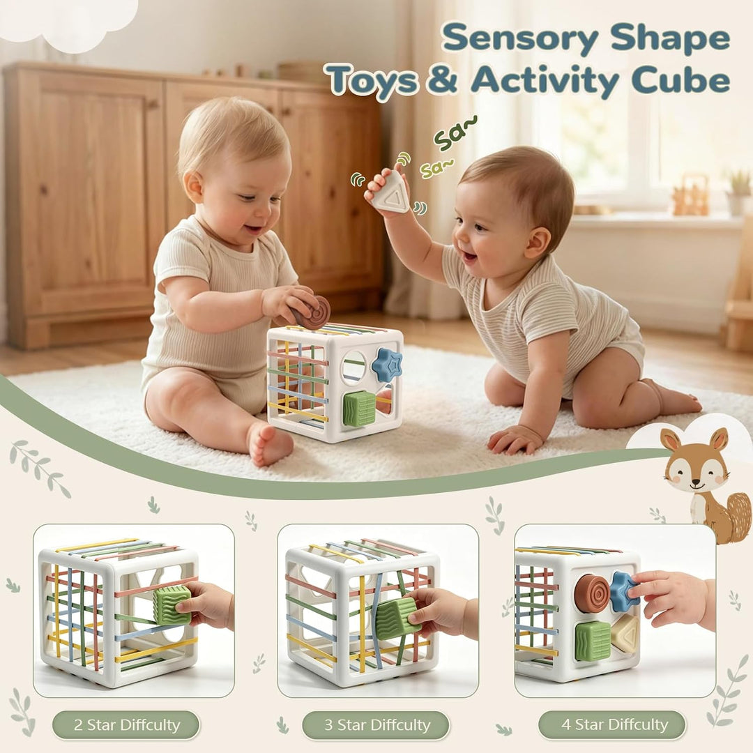 Anook Montessori Spielzeug Baby ab 6 Monate, Baby Spielzeug 6 8 9 10 Monate | Babyspielzeug ab 6 Mon