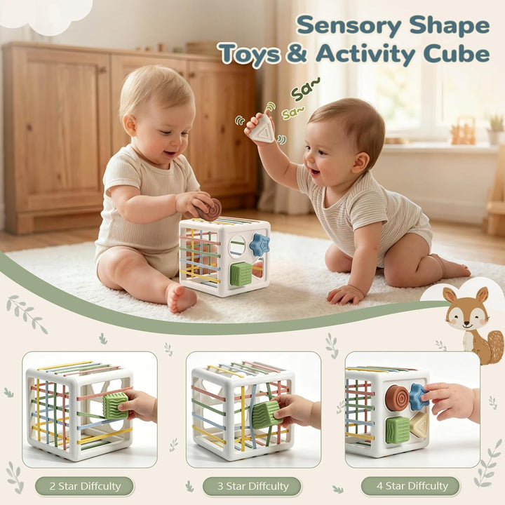Anook Montessori Spielzeug Baby ab 6 Monate, Baby Spielzeug 6 8 9 10 Monate | Babyspielzeug ab 6 Mon