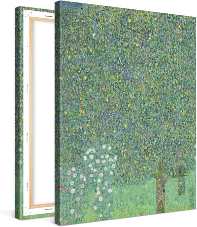 PICANOVA – Rosebushes Under The Trees 60x80cm – Premium Leinwanddruck – Kunstdruck Auf 2cm Holz-Keil