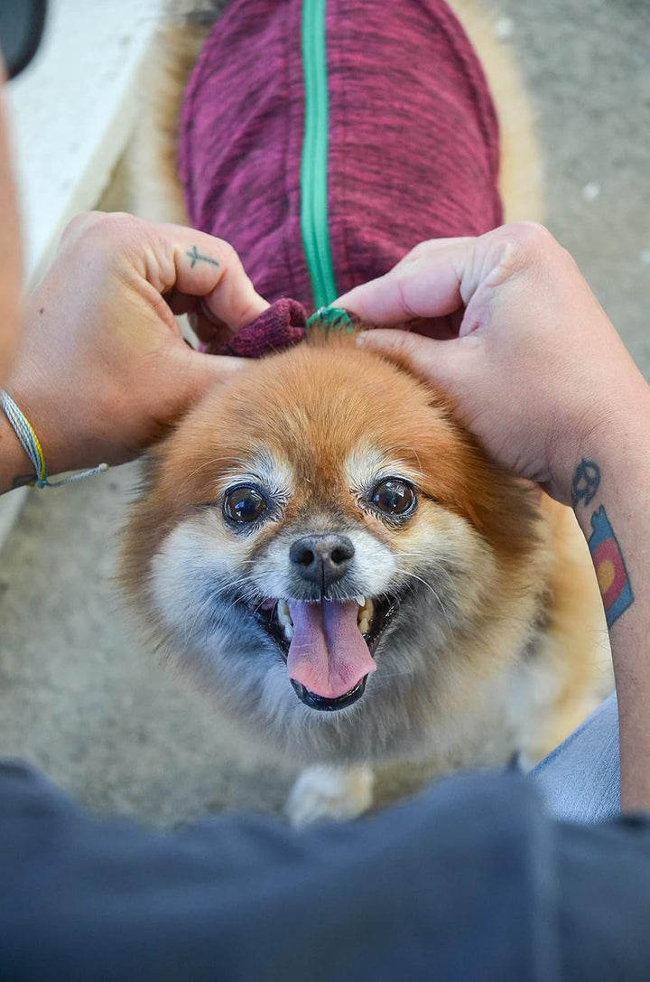 GOOBY Zip Up Fleece-Weste für kleine Hunde Fuchsia Wash Small chest (~12.5"), Fuchsia Wash Small che