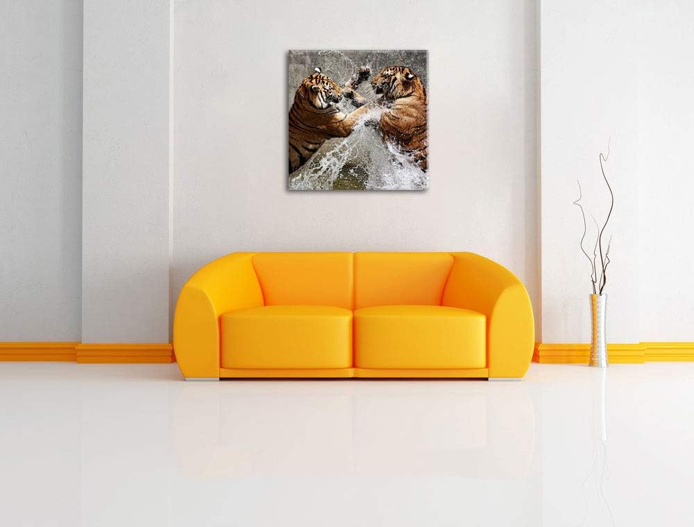 Kämpfende Tiger im Wasser, Format: 70x70 auf Leinwand, XXL riesige Bilder fertig gerahmt mit Keilrah