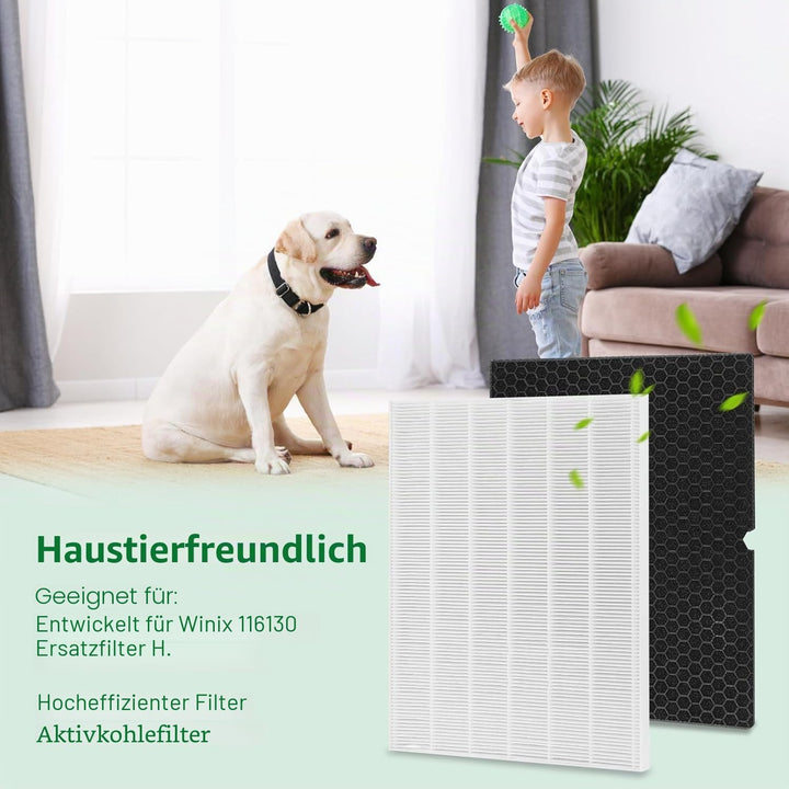 116130 Ersatzfilter H für Winix 5500-2 AM80 Luftreiniger, echte HEPA-Aktivkohle-Vorfilter, 2 Stück w