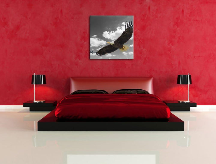Pixxprint Weisskopfseeadler beim fliegen als Leinwandbild/Grösse: 70x70 cm/Wandbild/Kunstdruck/ferti