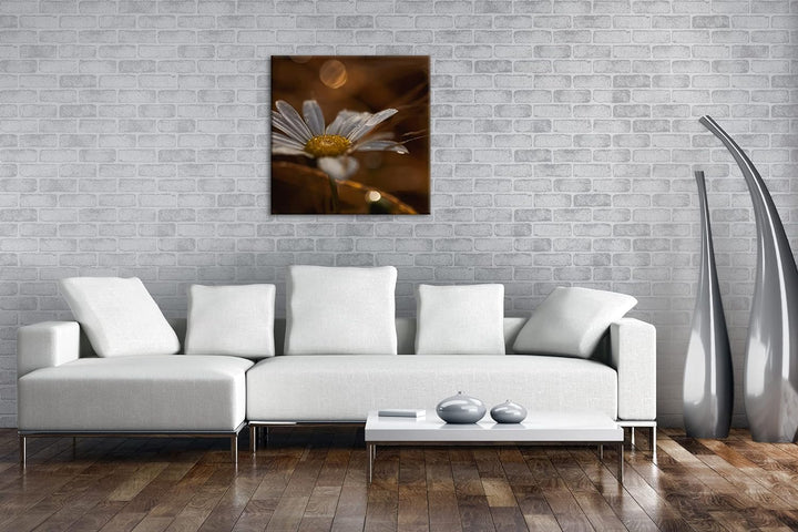 Margerite im Morgentau Format: 70x70 als Leinwandbild, Motiv fertig gerahmt auf Echtholzrahmen, Hoch