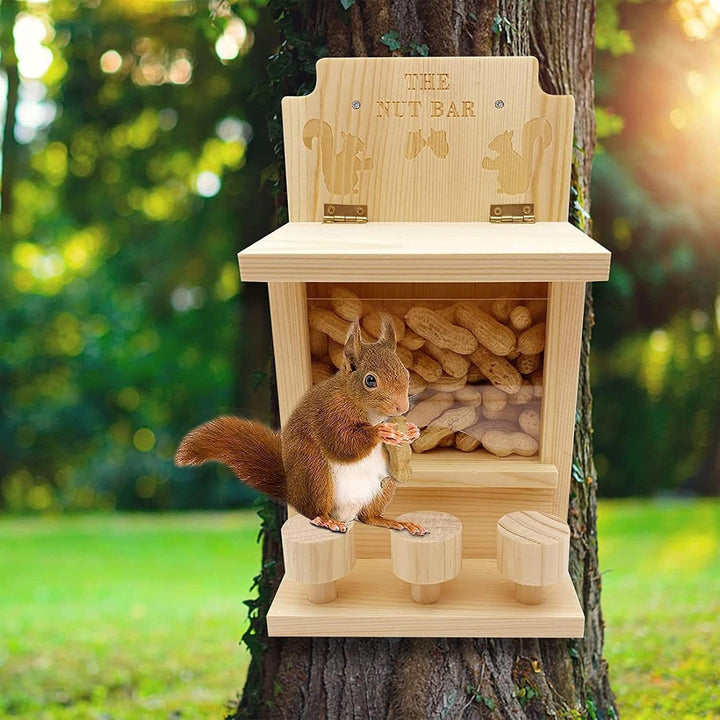 Eichhörnchen-Futterspender für den Aussenbereich,Eichhörnchen-Futterspender für Bäume, 3 Hocker Eich