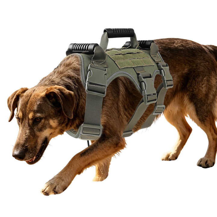 Taktisches Hundegeschirr Nylon reflektierend für grosse Hunde (Armeegrün) | Robustes Hundegeschirr A