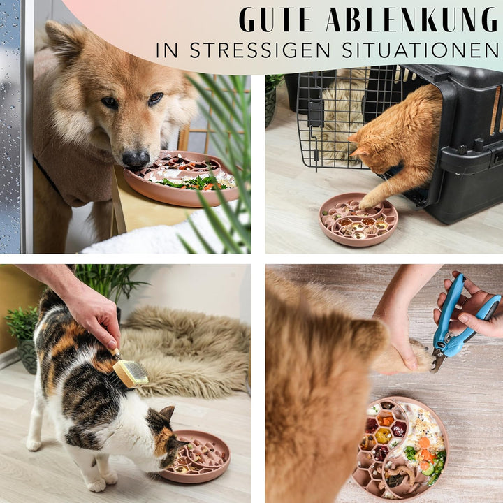 ne&no® Anti Schling Napf für Hunde und Katzen I Slow Feeder I Leckmatte Hund mit grossem Saugnapf I