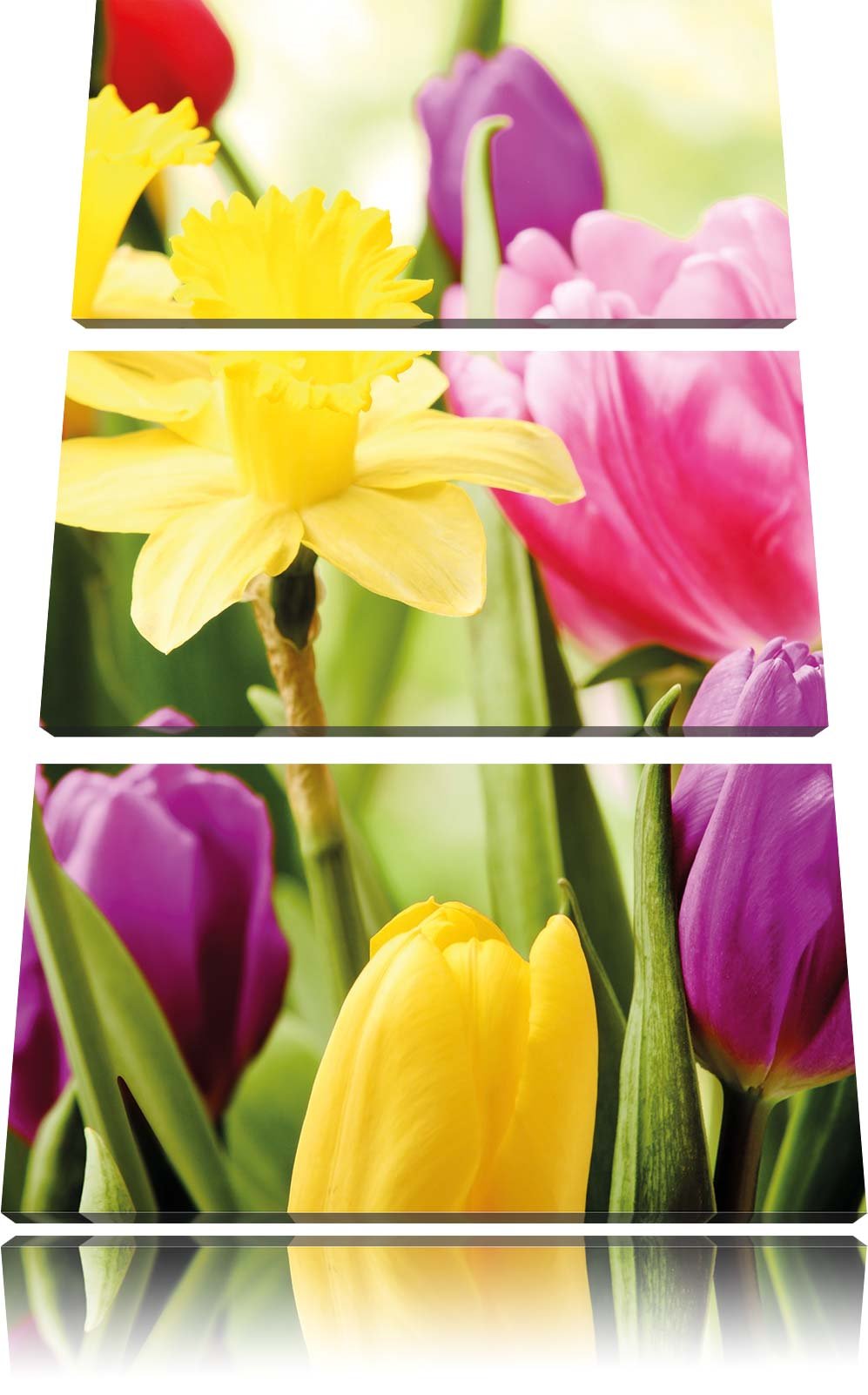 Pixxprint Farbenfrohe Osterglocken und Tulpen 3-Teiler Leinwandbild 120x80 Bild auf Leinwand