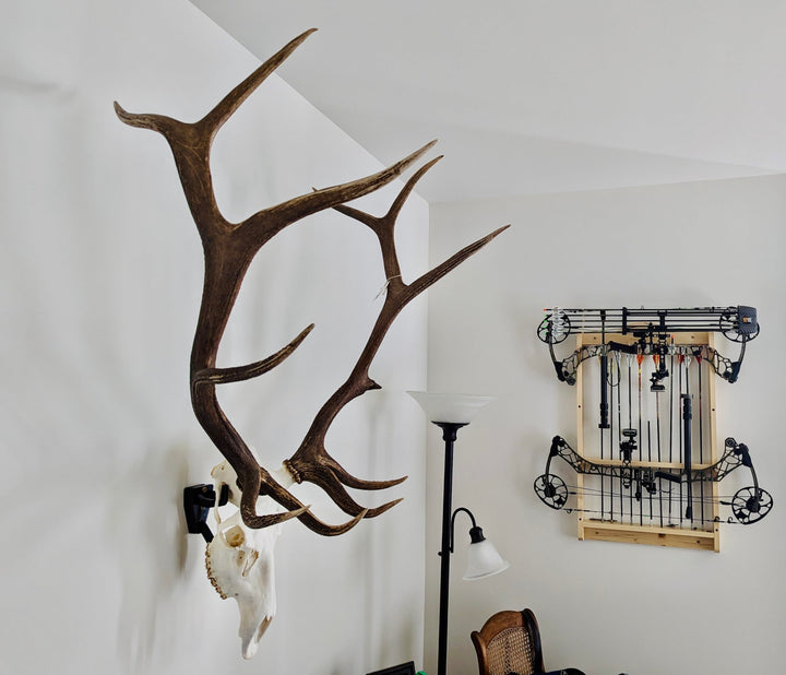 Top Rack: Europäischer Schädel-Aufhänger (Raging Bull: Elch European Mount Hanger, Schwarz) ELK: Rag