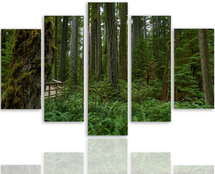 Feeby Wanddeko XXL Natur Leinwandbild 5 Teilig Wald Landschaft Bäume grün 100x70 cm Leinwandbild 100