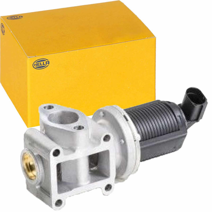 HELLA 6NU 010 171-401 AGR-Ventil - elektronisch - 2-polig - mit Dichtungen