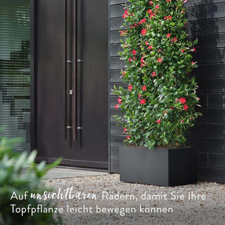 elho Vivo Next Lang 80 - Blumentopf für Innen &amp; Aussen - Pflanzentopf gross Draussen - Ø 78.0 x H 37