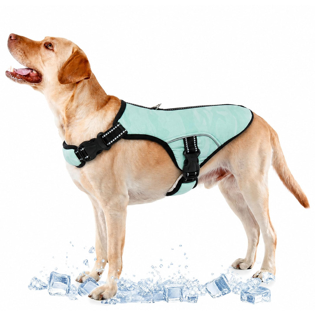 Hundekühlweste, Hundekühlmantel Verstellbare kühlende Hundejacke Hunderassen Saugfähige & Kühle Hund