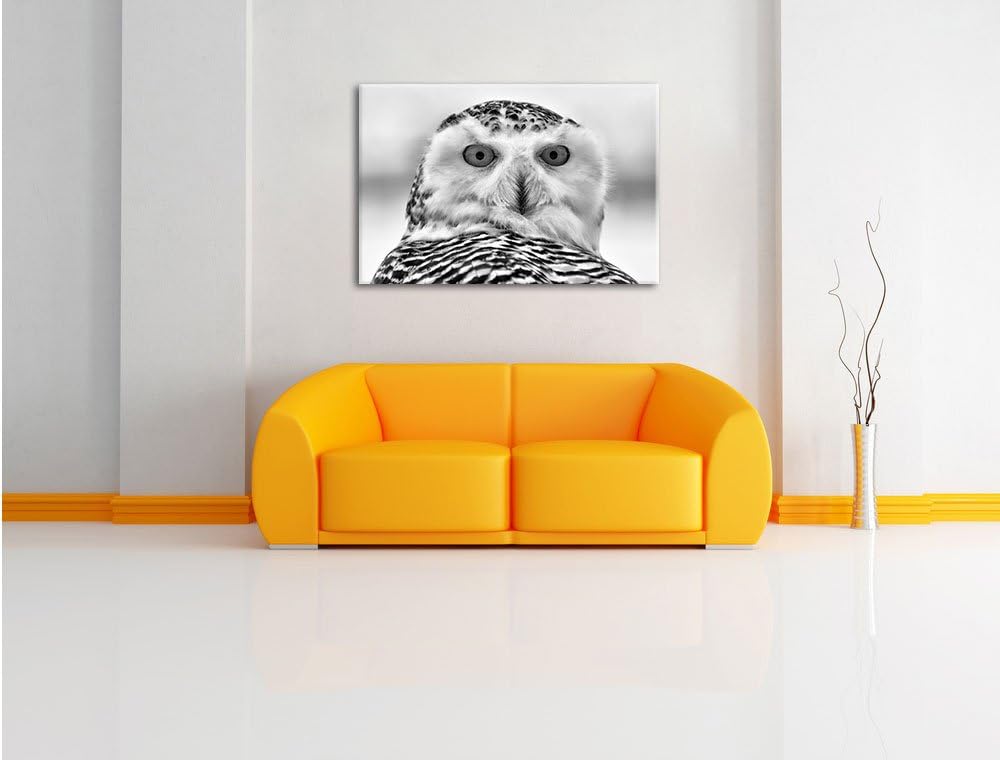Monocrome, Schnee-Eule , Format: 100x70 auf Leinwand, XXL riesige Bilder fertig gerahmt mit Keilrahm