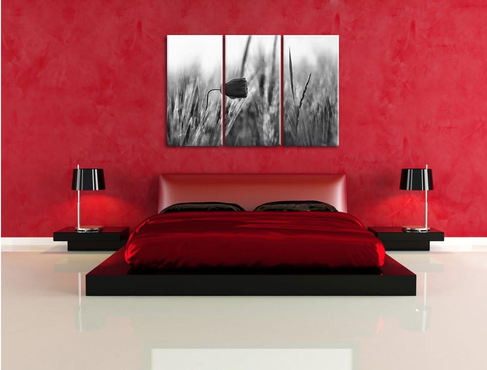 Pixxprint Monocrome, Einzelne rote Rose im Sonnenlicht 3-Teiler Leinwandbild 120x80 Bild auf Leinwan