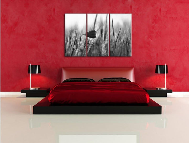 Pixxprint Monocrome, Einzelne rote Rose im Sonnenlicht 3-Teiler Leinwandbild 120x80 Bild auf Leinwan