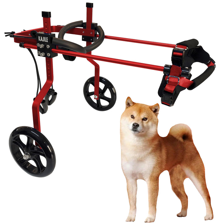 Verstellbarer 2-Rad-Hunderollstuhl, L-2 Grösse für behinderte Hund Hinterbeine Rehabilitation, geeig