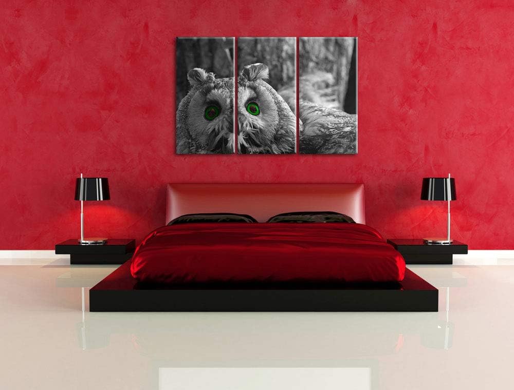 Niedliche Eule mit Grünen Augen schwarz/weiss 3-Teiler Leinwandbild 120x80 Bild auf Leinwand, XXL ri