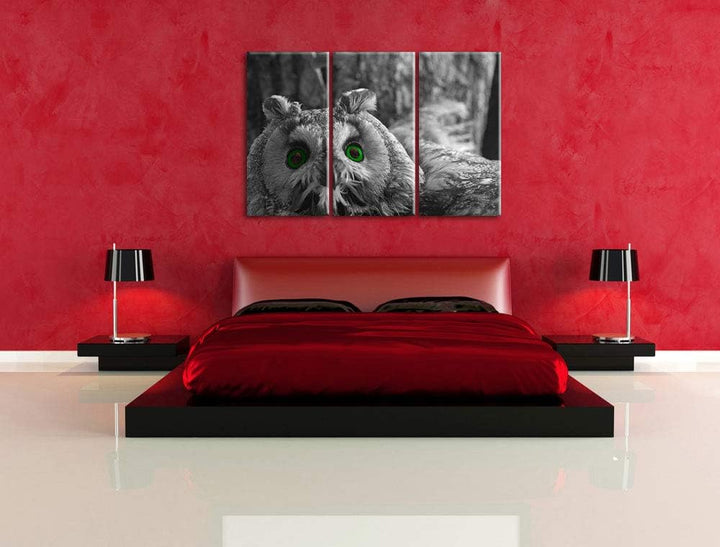Niedliche Eule mit Grünen Augen schwarz/weiss 3-Teiler Leinwandbild 120x80 Bild auf Leinwand, XXL ri