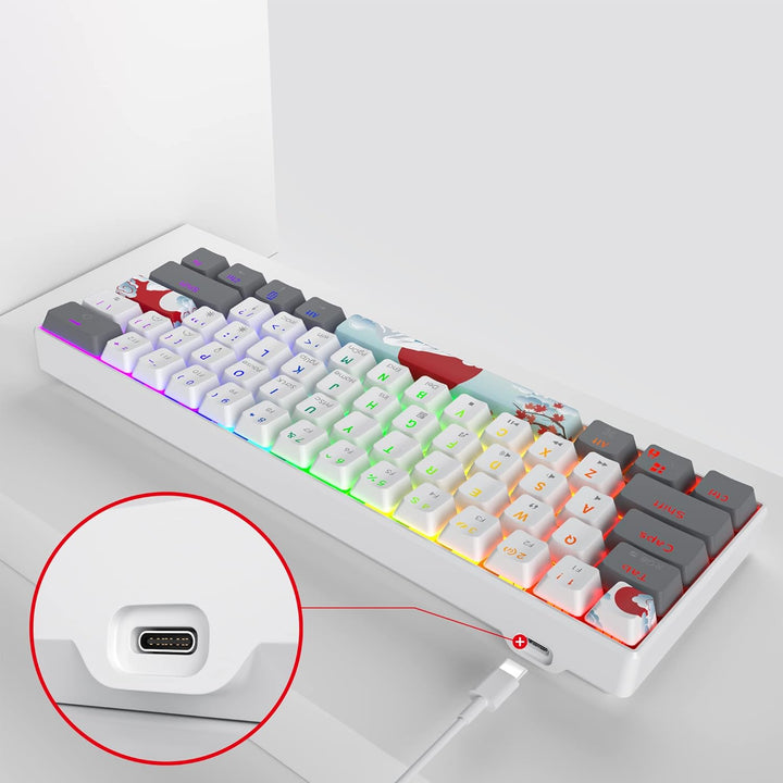 SOLIDEE Tragbare 60% mechanische Gaming-Tastatur,61 Tasten kompakte RGB LED-Hintergrundbeleuchtung,k