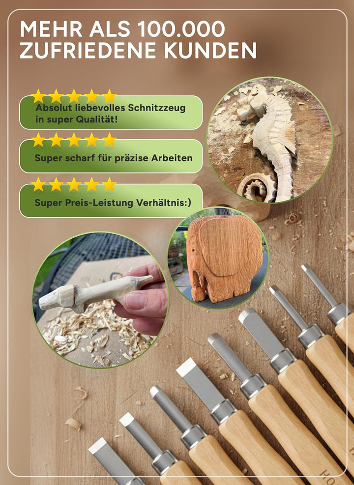 HOLZHELD Holzschnitzwerkzeug Set (14-teilig) mit Anleitung für 1 Schnitzprojekt - 12 Schnitzmesser a