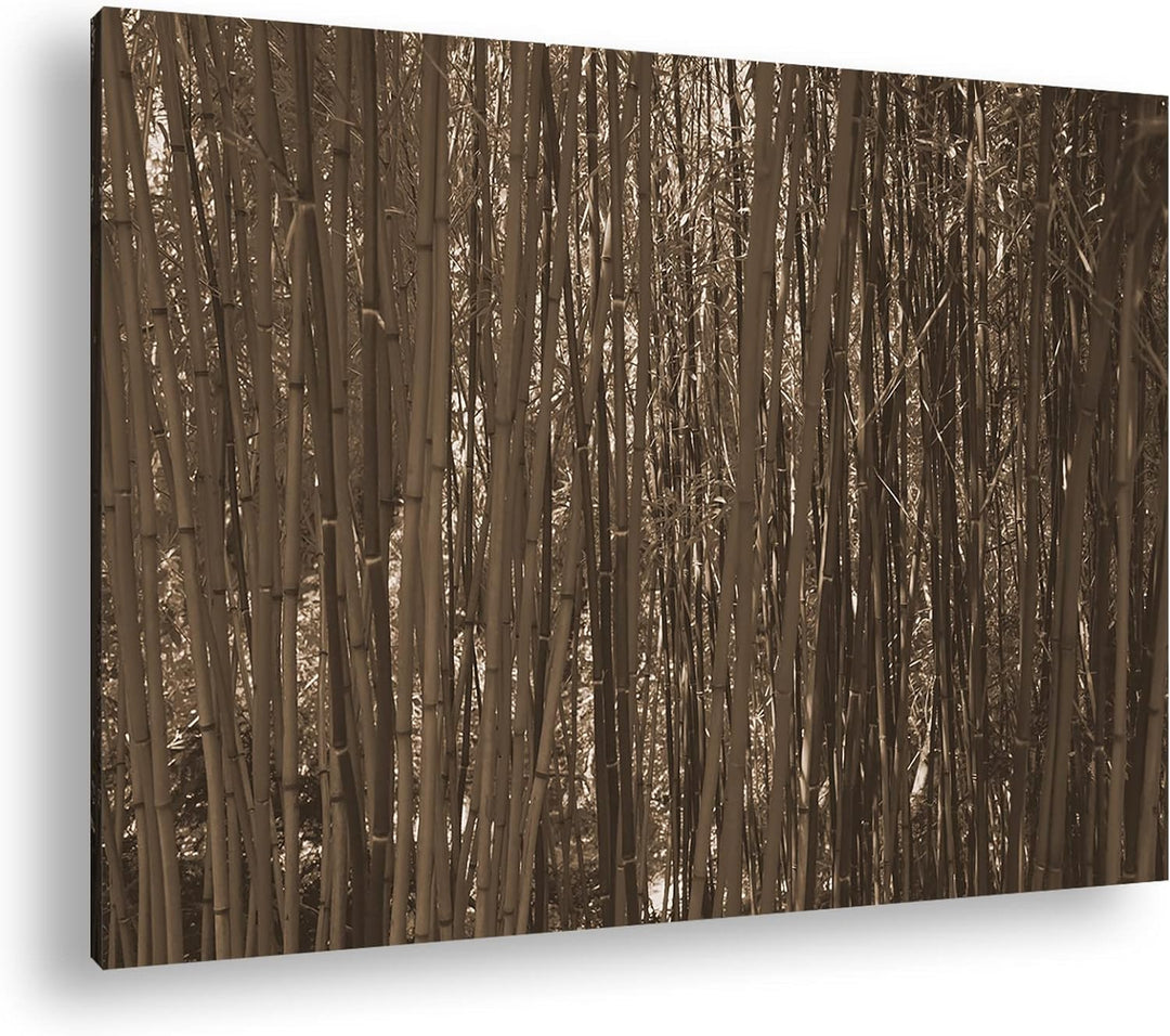 deyoli wildwachsender Bambus-Dschungel Effekt: Sepia, Format: 60x40 als Leinwandbild, Motiv fertig g