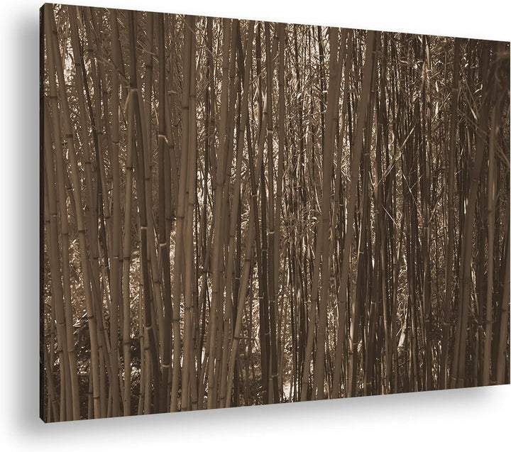 deyoli wildwachsender Bambus-Dschungel Effekt: Sepia, Format: 60x40 als Leinwandbild, Motiv fertig g