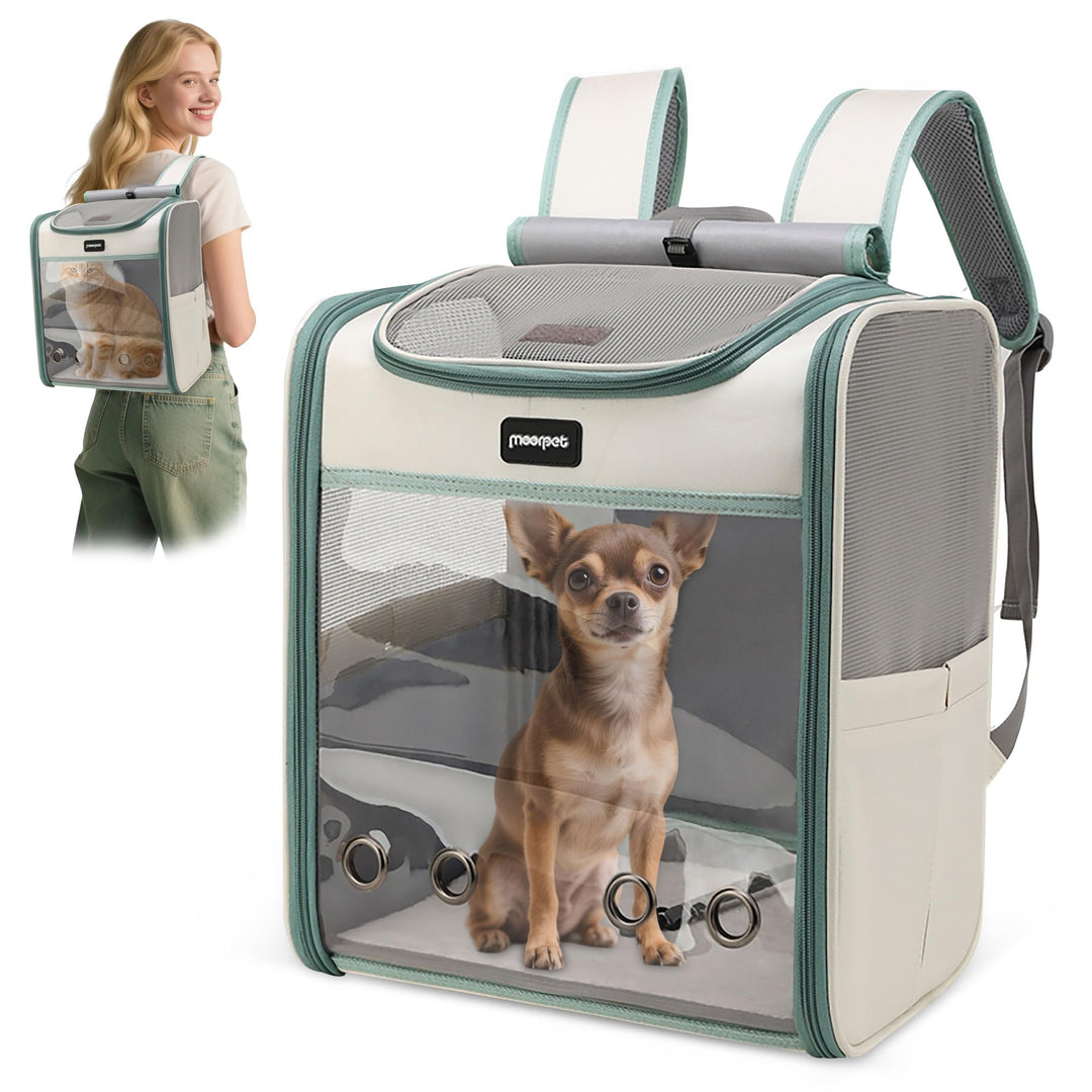 ALLSOPETS Katzenrucksack grosse Katzen, Faltbarer Hunde- und Katzen Rucksack, Atmungsaktive Tragetas