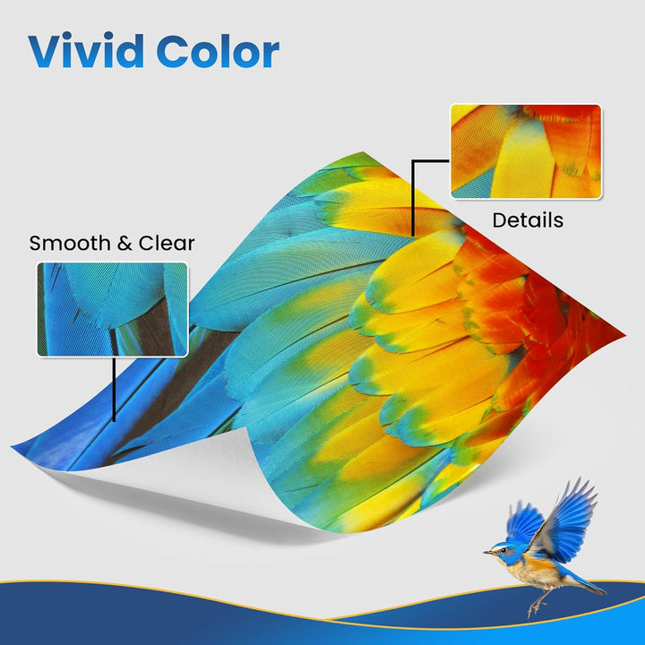 CLT-P404C P404C Multipack Toner für Samsung C480W Xpress SL C480FW C480 C430W C48X C430 C480FN CLT-K